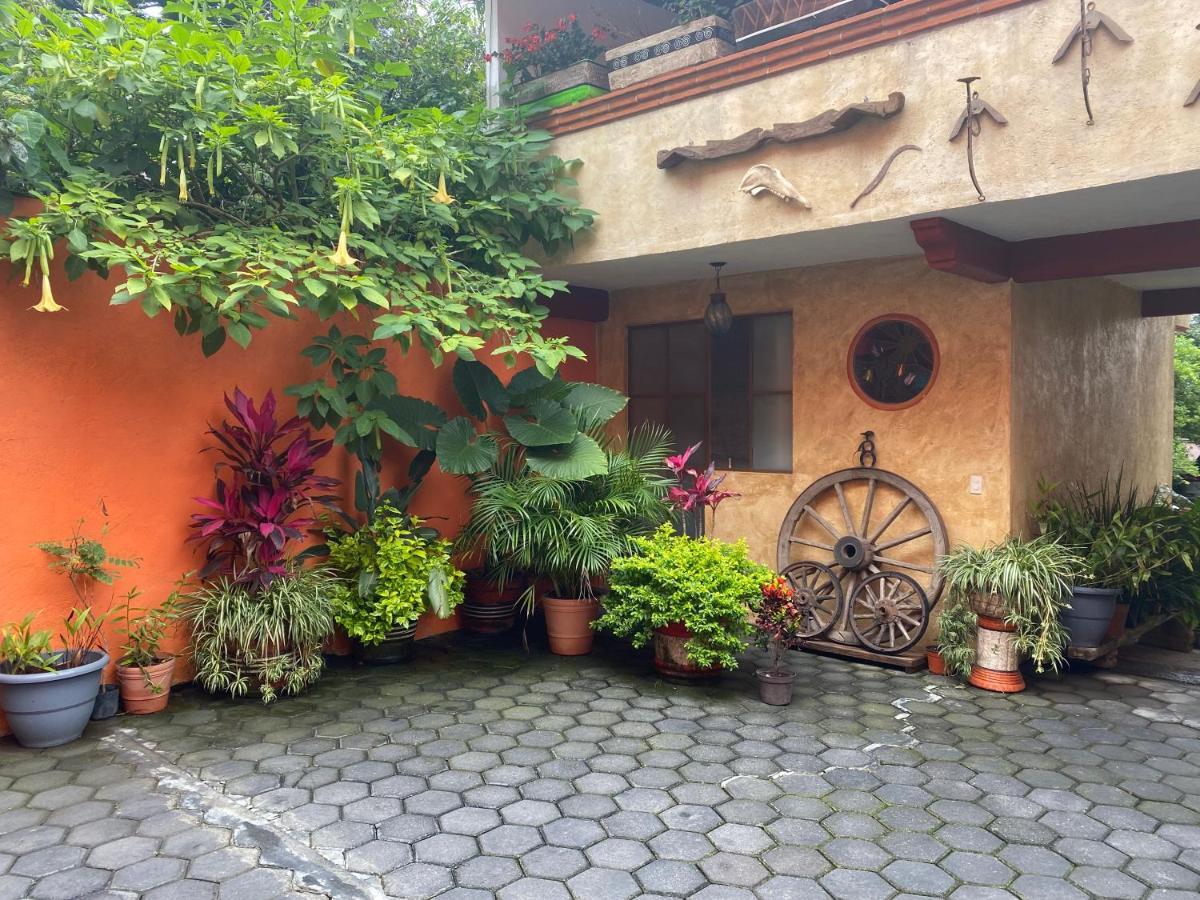 Flor de Cera Tepoztlán Exterior foto